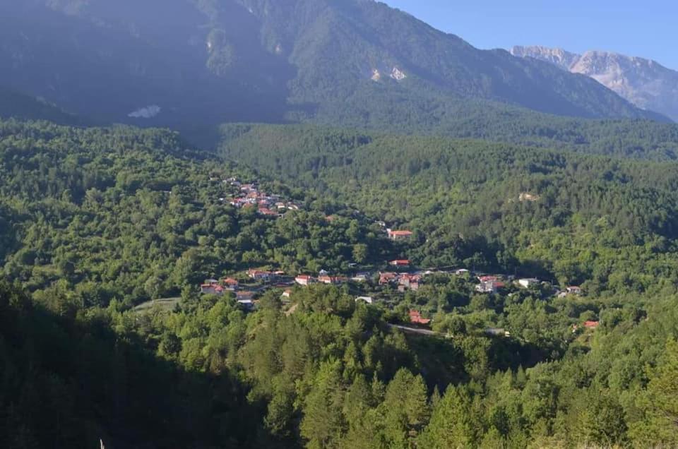 Ferienwohnung Peklaritiko Steki Pigi  Exterior foto